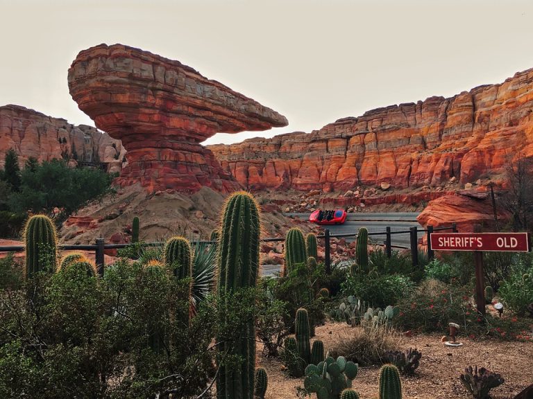 Stainless Structurals for Disney Cars Land