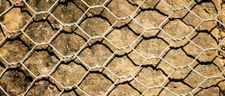 Cats Won't Poop in Your Garden When You Have Chicken Wire