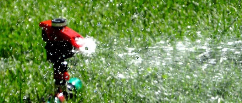 Motion Activated Sprinkler Will Chase Cats Away