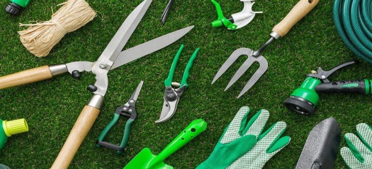 How to Store Garden Tools and Equipment | Fantastic Services