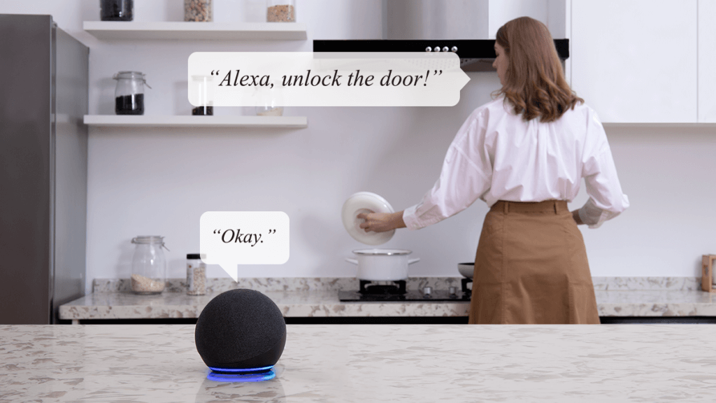 smart lock_voice control